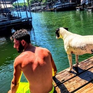 Meet your Posher, Cole